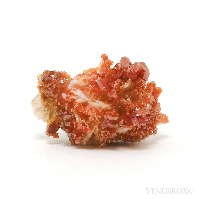 Vanadinite on Barite & Matrix Natural Specimen from Mibladen, Midelt, Meknes-Tafilalet Region, Morocco | Venusrox