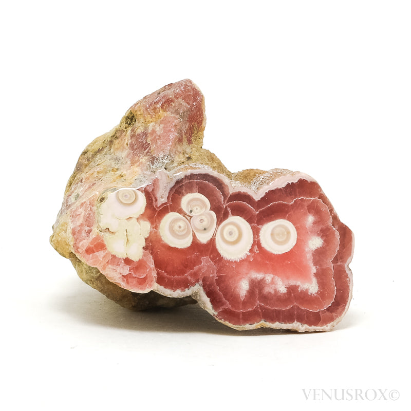 Rhodochrosite Polished/Natural Stalactite Crystal from Argentina | Venusrox