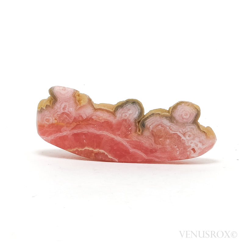 Rhodochrosite Polished/Natural Crystal from Argentina | Venusrox