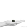 Moldavite Crystal from Chlum, Czech Republic | Venusrox