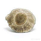 Barite with Marcasite Part Polished/Part Natural Crystal from the Lubin Mine, Silezia, Poland | Venusrox