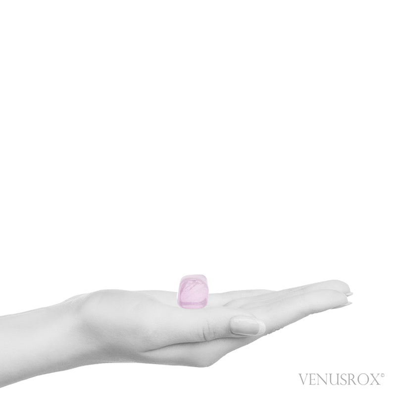 Kunzite Polished Crystal from Laghman Province, Afghanistan | Venusrox