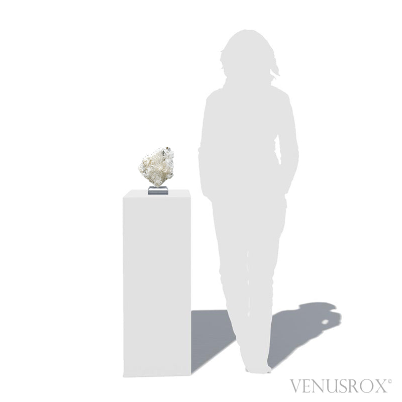 Golden Rutilated Himalayan Chlorite Quartz Natural Cluster with Anatase from the Meru Peak Foot Hills, Garhwal, Uttarakhand, Indian Himalayas, mounted on a bespoke stand | Venusrox