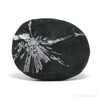 Chrysanthemum Stone from China | Venusrox