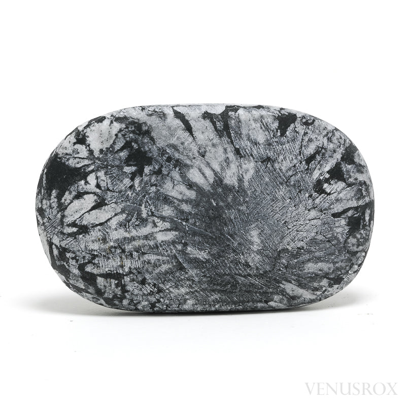 Chrysanthemum Stone from China | Venusrox