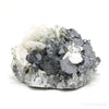 Calcite & Pyrite on Quartz & Galena Natural Cluster from Bulgaria | Venusrox