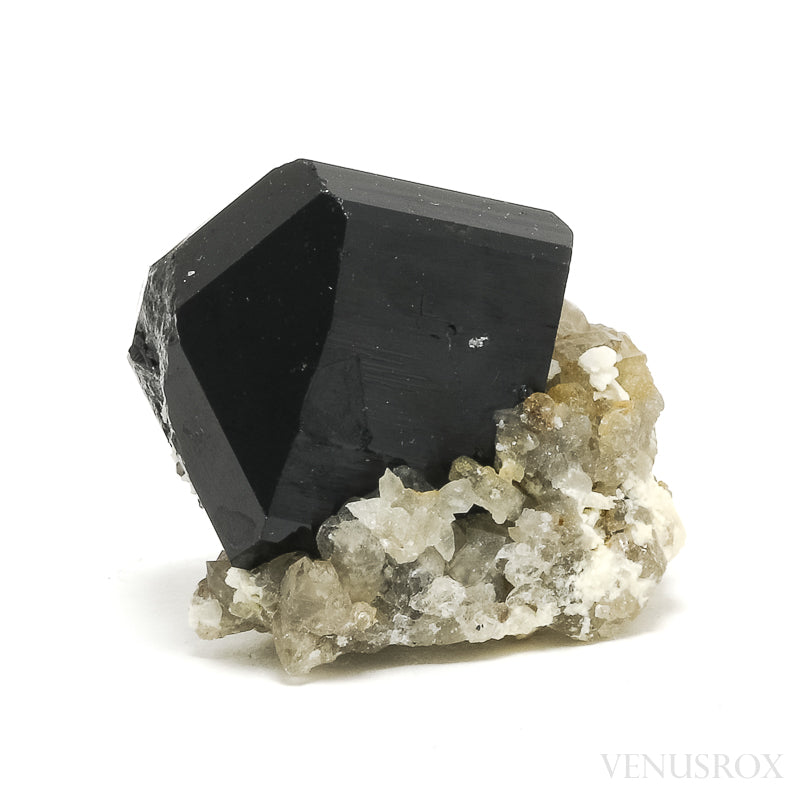 Black Tourmaline with Smoky Quartz Natural Cluster from Rondekop, Erongo Mountains, Karibib District, Erongo Region, Namibia | Venusrox