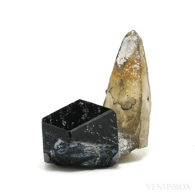 Black Tourmaline with Smoky Quartz Natural Cluster Venusrox