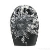 Chrysanthemum Stone from China | Venusrox