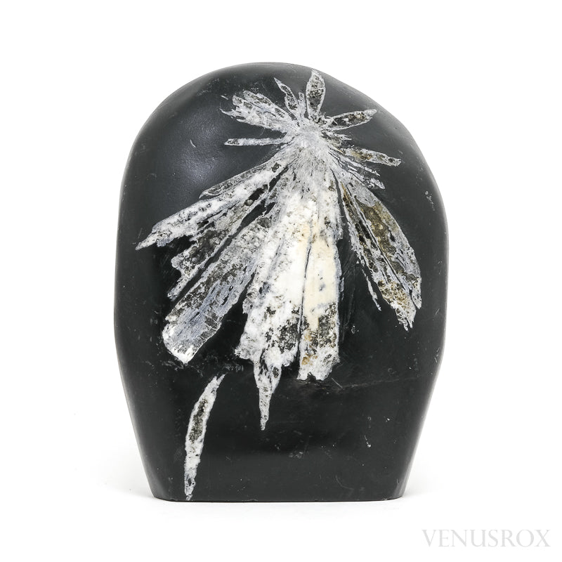 Chrysanthemum Stone from China | Venusrox