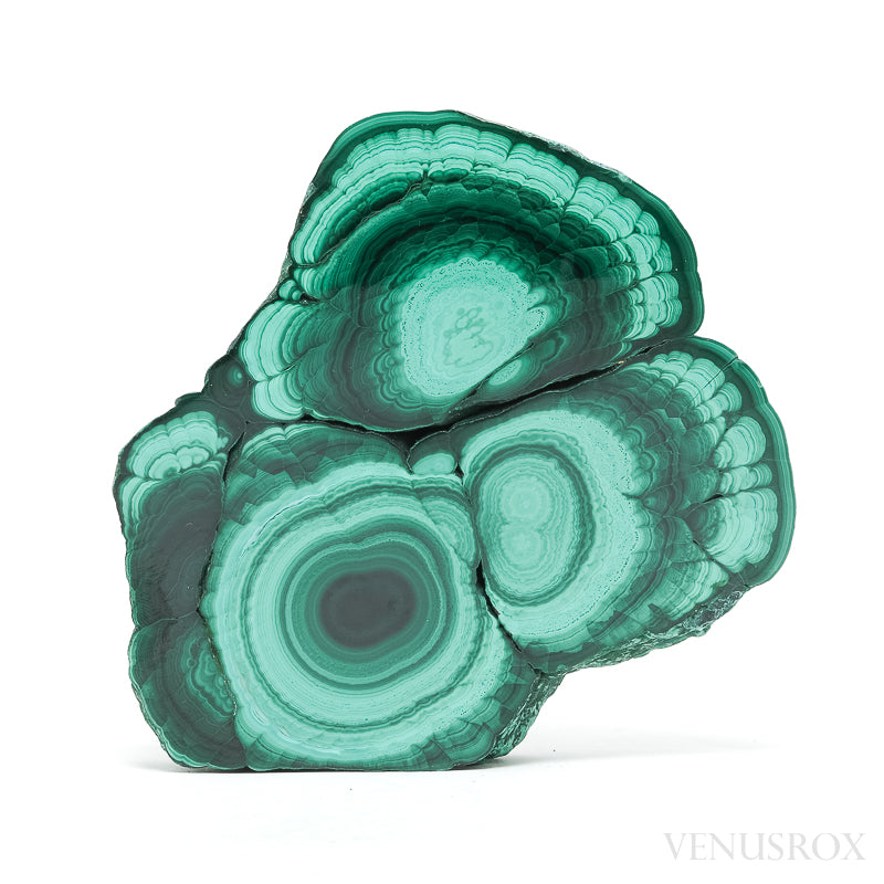 Malachite Polished/Natural Slice from the Democratic Republic of Congo | Venusrox