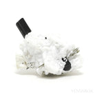 Black/Brown (Dravite) Tourmaline with Albite, Quartz Mica Natural Cluster from Skardu, Gilgit-Baltistan, Pakistan | Venusrox