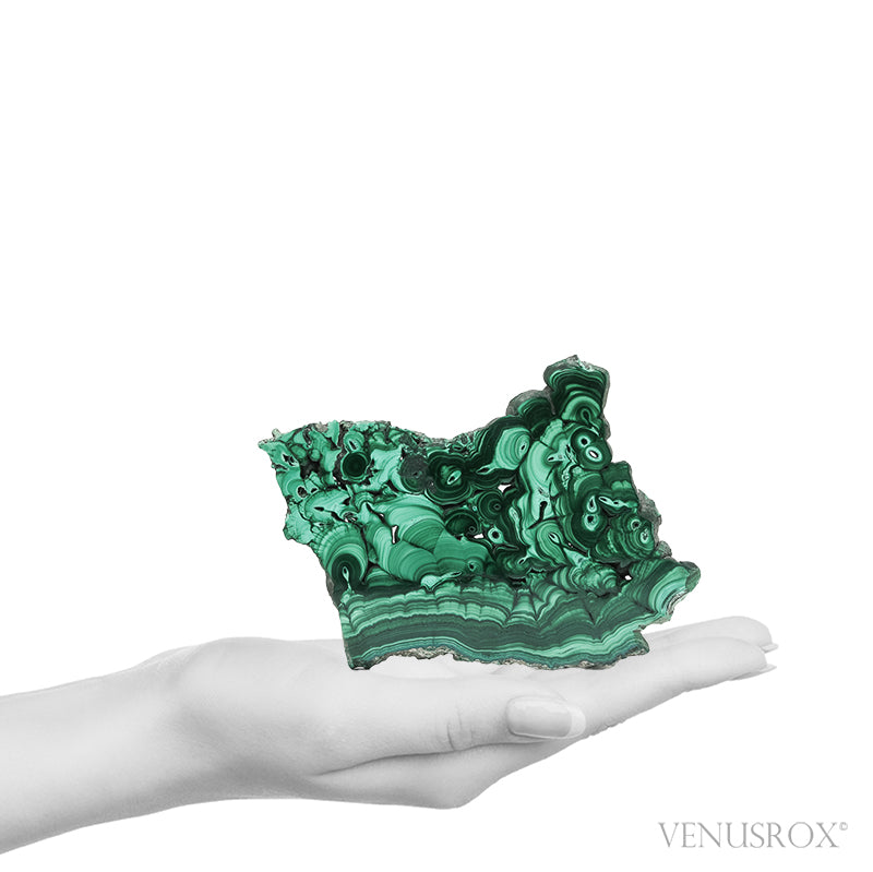 Malachite Polished/Natural Slice from the Democratic Republic of Congo | Venusrox