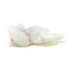 Clear Quartz Natural Cluster from Jalgaon, Maharashtra, India | Venusrox