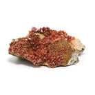 Vanadinite on Matrix Natural Cluster from Mibladen, Midelt, Meknes-Tafilalet Region, Morocco | Venusrox