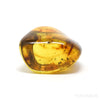 Natural Baltic Amber Polished Crystal | Venusrox