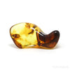 Natural Baltic Amber Polished Crystal | Venusrox