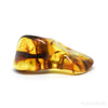 Natural Baltic Amber Polished Crystal | Venusrox