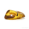 Natural Baltic Amber Polished Crystal | Venusrox