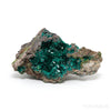 Dioptase on Matrix Natural Cluster from Renéville, Kindanba District, Pool Department, Demacratic Republic of the Congo | Venusrox