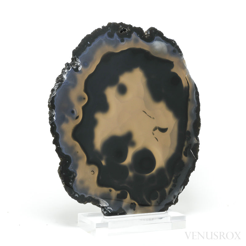Agate Polished Slice from Brazil, mounted on a bespoke stand | Venusrox