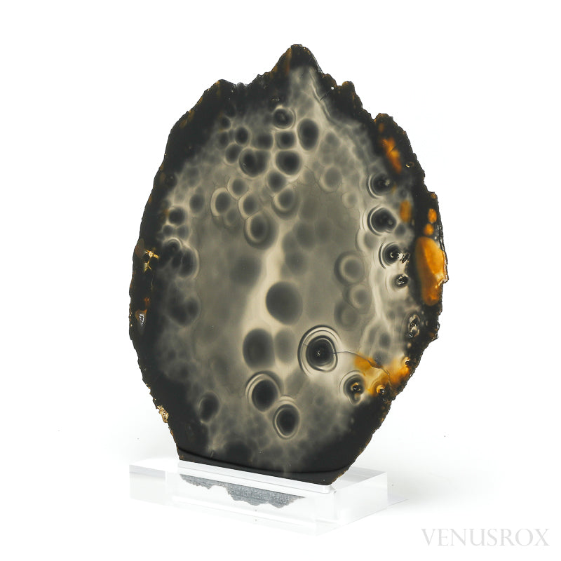 Agate Polished Slice from Brazil, mounted on a bespoke stand | Venusrox