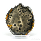 Agate Polished Slice from Brazil, mounted on a bespoke stand | Venusrox