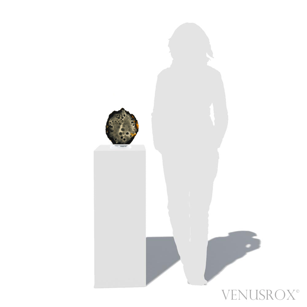 Agate Polished Slice from Brazil, mounted on a bespoke stand | Venusrox