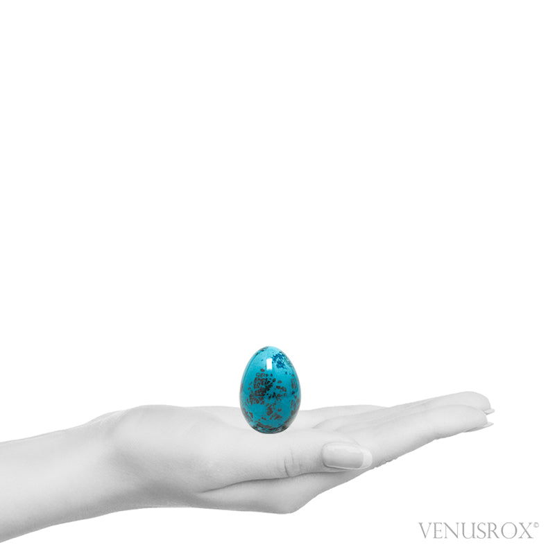 Chrysocolla with Malachite & Shattuckite Polished Egg from Namibia | Venusrox