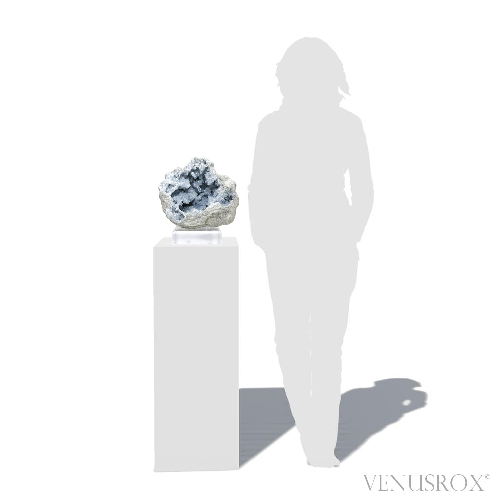 Blue Celestite on Matrix Natural Cluster mounted on a bespoke stand from Madagascar | Venusrox