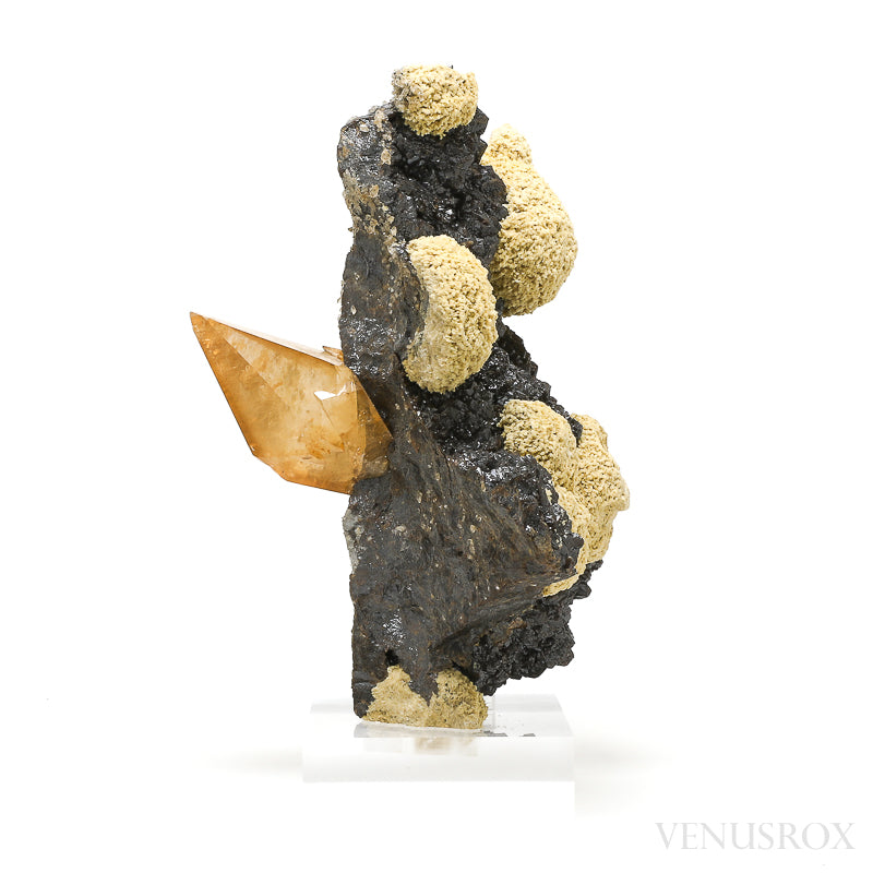 Stellar Beam Calcite with Sphalerite & Dolomite Natural Cluster from the Elmwood Mine, Tennessee, USA, mounted on a bespoke stand | Venusrox