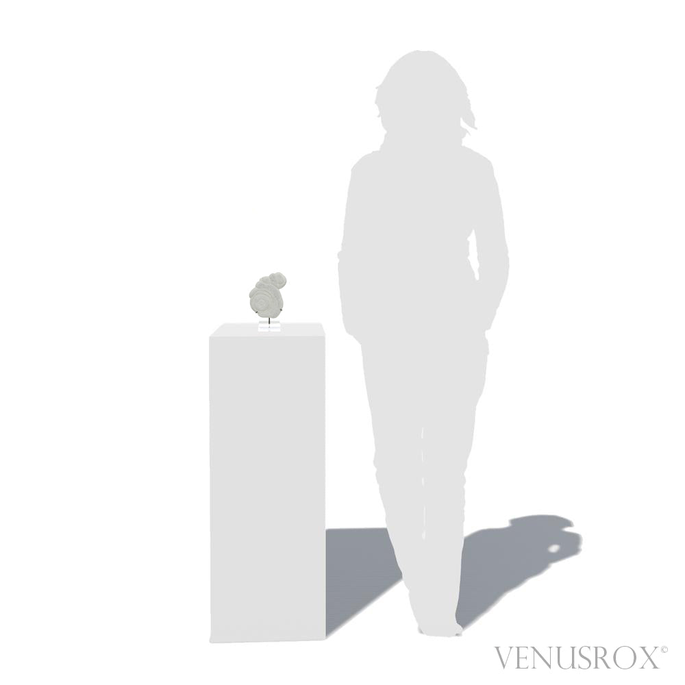 Fairy Stone Natural Crystal from Abitibi, Quebec, Canada mounted on a bespoke stand | Venusrox