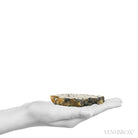 Schalenblende Part Polished/Part Natural Crystal from Olkusz, Poland | Venusrox