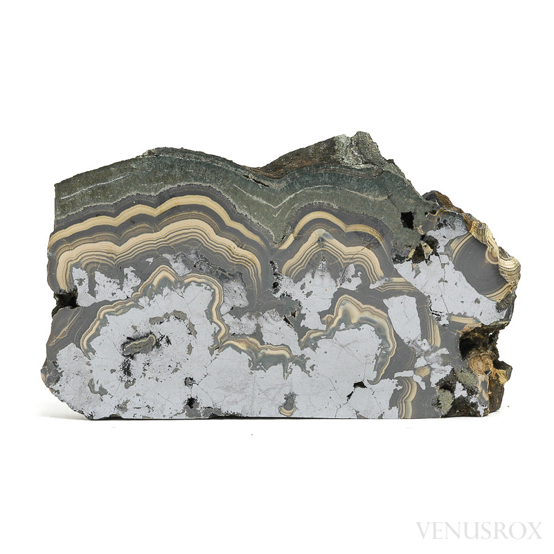 Schalenblende Part Polished/Part Natural Crystal from Olkusz, Poland | Venusrox