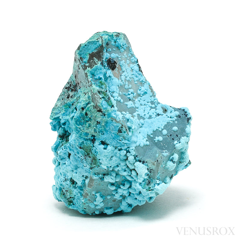 Chrysocolla on Quartz Natural Crystal | Venusrox