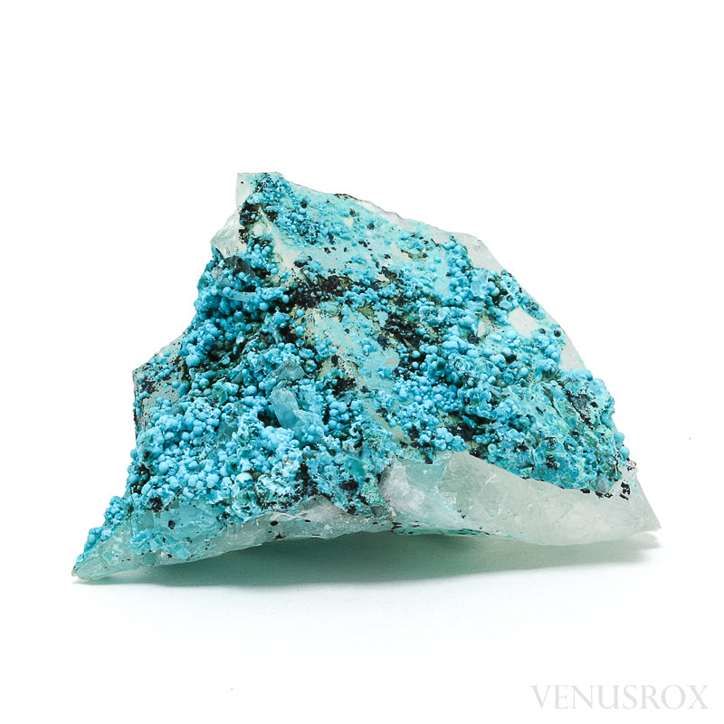 Chrysocolla on Quartz Natural Crystal | Venusrox