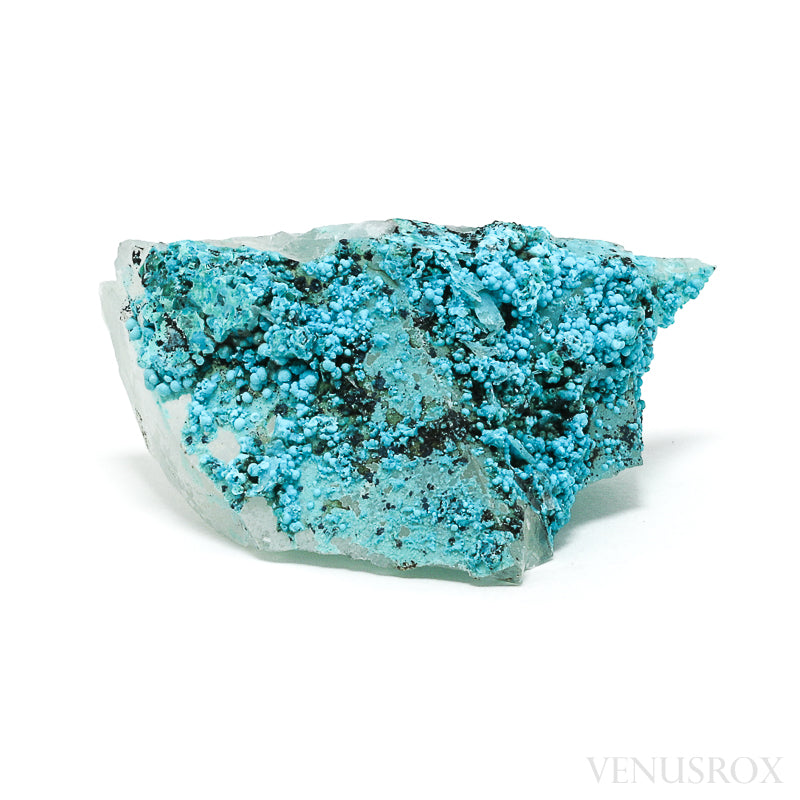 Chrysocolla on Quartz Natural Crystal Specimen from Peru | Venusrox
