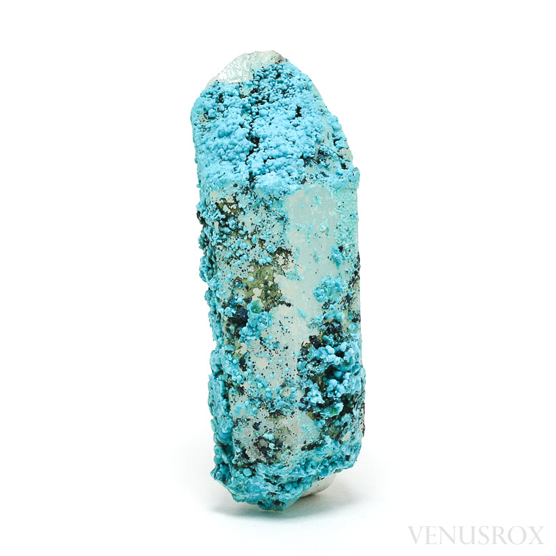 Chrysocolla on Quartz Natural Crystal | Venusrox