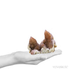 Natural Amethyst Spirit Quartz Cluster from Mpumalanga, South Africa | Venusrox