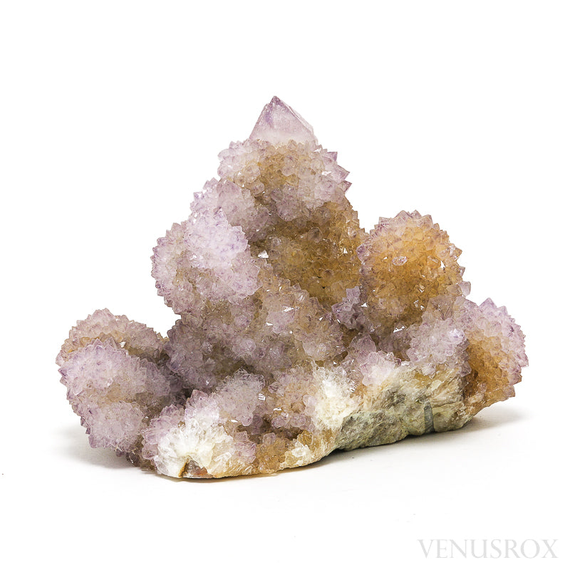 Natural Amethyst Spirit Quartz Cluster from Mpumalanga, South Africa | Venusrox