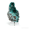 Dioptase with Chrysocolla & Calcite on Matrix Natural Cluster from Renéville, Kindanba District, Pool Department, Demacratic Republic of the Congo mounted on a bespoke stand | Venusrox