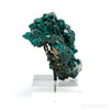 Dioptase with Calcite on Matrix Natural Cluster from Renéville, Kindanba District, Pool Department, Demacratic Republic of the Congo mounted on a bespoke stand | Venusrox