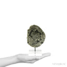 Natural Pyrite Half Nodule from Le Mans, Sarthe, France mounted on a bespoke stand | Venusrox