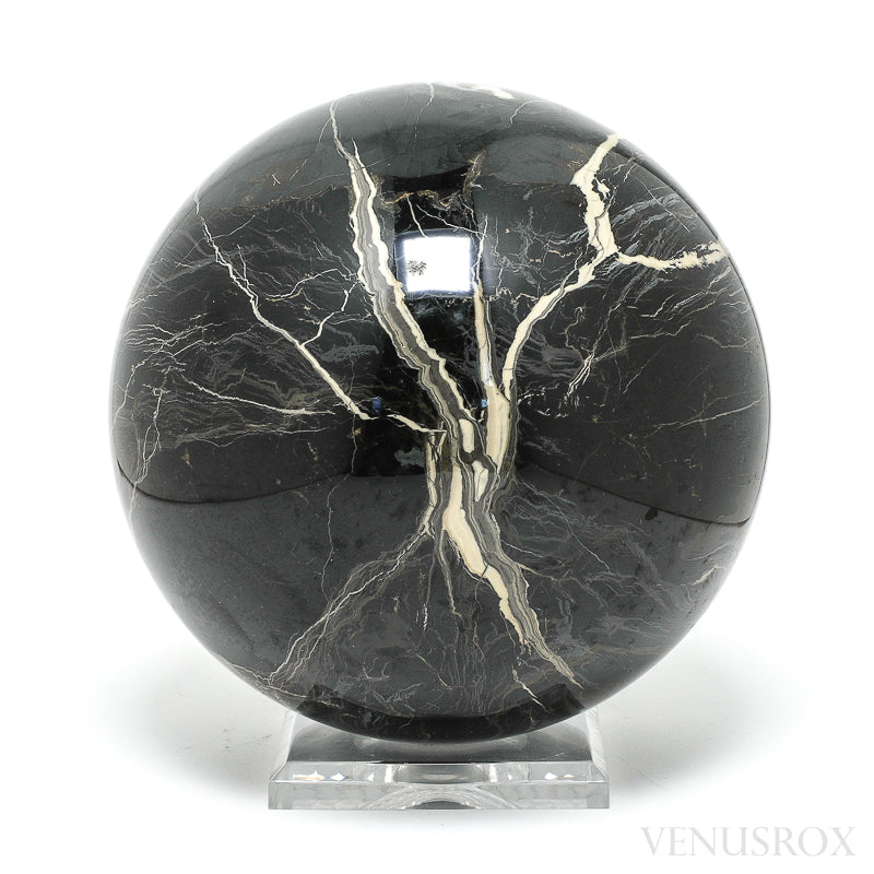 Petrified Wood Sphere from Russia | Venusrox