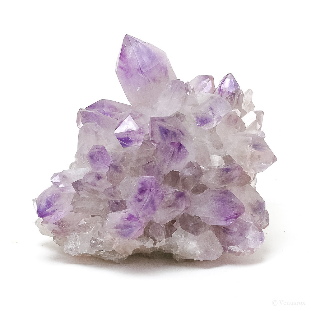 Amethyst Phantom Natural Cluster from the Anahi Mine, Santa Cruz Dept. Bolivia | Venusrox