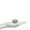 Size Illustration | Dalmatian Jasper Polished Crystal from China | Venusrox