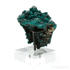 Dioptase with Calcite on Matrix Natural Cluster from Renéville, Kindanba District, Pool Department, Demacratic Republic of the Congo mounted on a bespoke stand | Venusrox