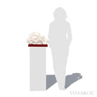 Gogotte Natural Crystal from Fontainebleau, France mounted on bespoke stand | Venusrox