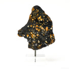 Seymchan Pallasite Meteorite Polished Slice from the Hekandue River, Jasačnaja, Magadan District, Russia mounted on a bespoke stand | Venusrox