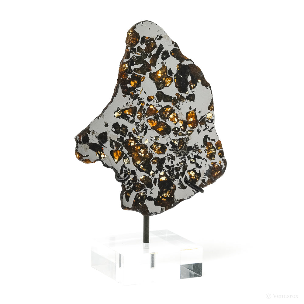 Seymchan Pallasite Meteorite Polished Slice from the Hekandue River, Jasačnaja, Magadan District, Russia mounted on a bespoke stand | Venusrox